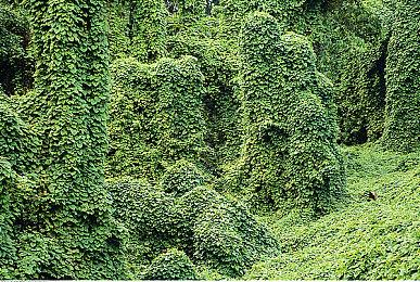 《死亡搁浅2》中文语音现已上线 小岛工作室发布致谢